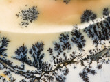 Buy Close-Up of Amethyst Sage Agate, Nevada, USA at AllPosters.com