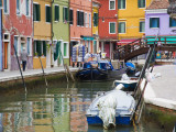 Colorful Burano City Homes Reflecting in the Canal, Italy