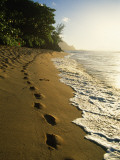 Buy Footprints in Sand, Hanalei, Hawaii, USA at AllPosters.com