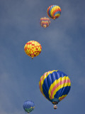 Colorful Hot Air Balloons Decorate the Morning Sky, Colorado Springs, Colorado, USA