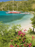 Snorkelers in Idyllic Pirates Bight Cove, Bight, British Virgin Islands