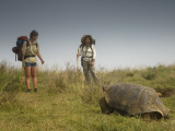 Galapagos Giant Tortoise With Tui De Roy Near Alcedo Volcano, Isabela Island, Galapagos Islands