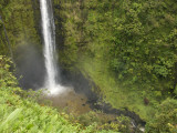 Akaka Falls, Hamakua Coast, Hawaii, USA