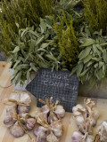 Buy Rosemary and Garlic, Moustiers-Sainte-Marie, Provence, France at AllPosters.com