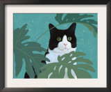 Black and White Cat with Green Eyes
