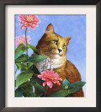 Orange Cat with Zinnia