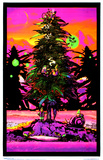 Buy Gnome at AllPosters.com