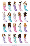 Wildside (Dogs in Boots)