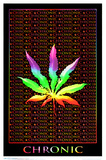 Buy Chronic Rainbow at AllPosters.com