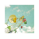 Buy Fairground Ride at AllPosters.com