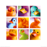 Duck Family Portraits