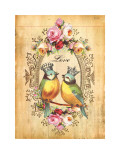 Love Birds