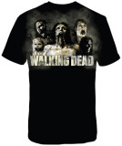 Buy The Walking Dead - Zombies Cracked at AllPosters.com