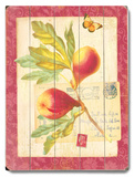 Buy Natural Wonders-Fig at AllPosters.com
