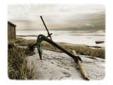 Ancre Sur Plage