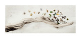 Drift of Butterflies