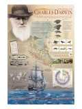 Buy The Genius of Charles Darwin at AllPosters.com