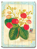 Buy Natural Wonders-Strawberry at AllPosters.com