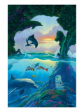 Buy Seven Dolphins at AllPosters.com