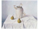 Dried Narcissi
