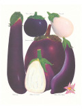 Buy Eggplant at AllPosters.com