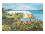 Buy Flower Garden and Bungalow, Bermuda, c.1899 at AllPosters.com