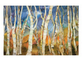 Buy Birch Grove II at AllPosters.com
