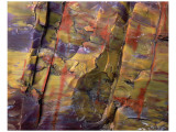 Buy Petrified Wood II at AllPosters.com