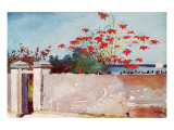 Buy Wall, Nassau, c.1898 at AllPosters.com