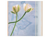 Buy Tulip and Blue Tapestry II at AllPosters.com