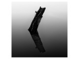 Stump in Hyatt Lake