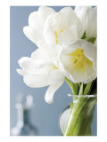 Buy White Tulips Bouquet at AllPosters.com