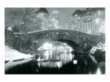 Winter in Central Park