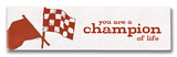 You are a Champion