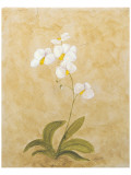 Buy Flower II at AllPosters.com
