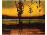 Buy Sunset Glow at AllPosters.com
