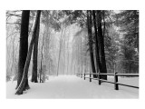 Winter Country Lane, Michigan