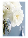 Buy White Roses Bouquet at AllPosters.com
