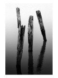 Four Pier Pilings