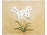 Buy Flower I at AllPosters.com