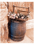 Buy Tender Pink Country Roses at AllPosters.com