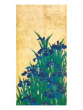Irises, Japanese