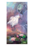 I am Foregiveness, I am Compassion