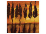 Buy Peaceful Trees at Sunset at AllPosters.com
