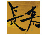 Buy Long Life II at AllPosters.com