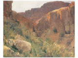 Buy Ain Djiddy Gorge near the Dead Sea at AllPosters.com