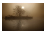 Buy Foggy Island Sepia at AllPosters.com