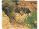 Buy Ancient Source in Syria at AllPosters.com