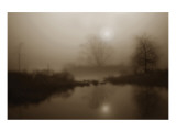 Buy Sepia Soft at AllPosters.com