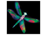 Buy Dragonfly IV at AllPosters.com